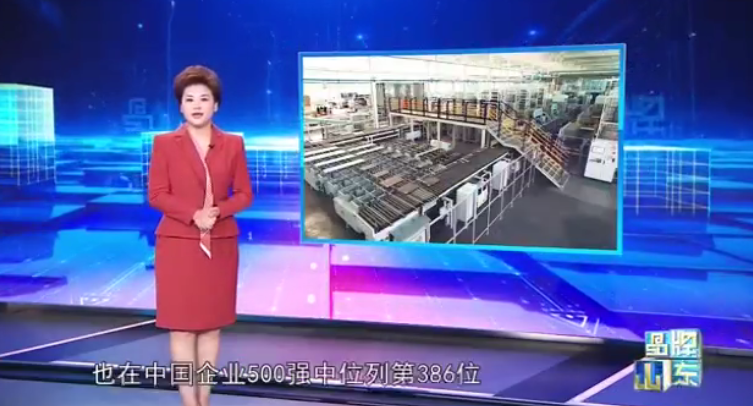 《品牌山東》走進魯麗家居和魯麗木業(yè)