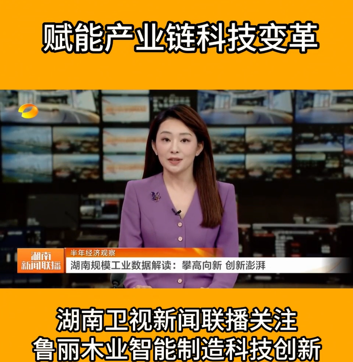 賦能產業鏈科技變革 湖南衛視新聞聯播關注魯麗智能制造科技創新
